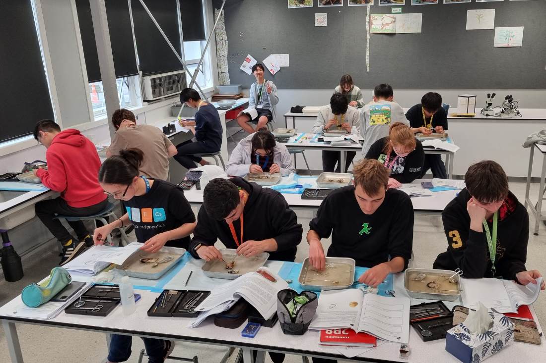 Fonterra Partners with Science Olympiad NZ to Inspire Future STEM Leaders