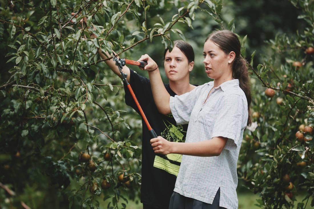Fonterra and Agribusiness in Schools Partner to Inspire Future Leaders in Dairy