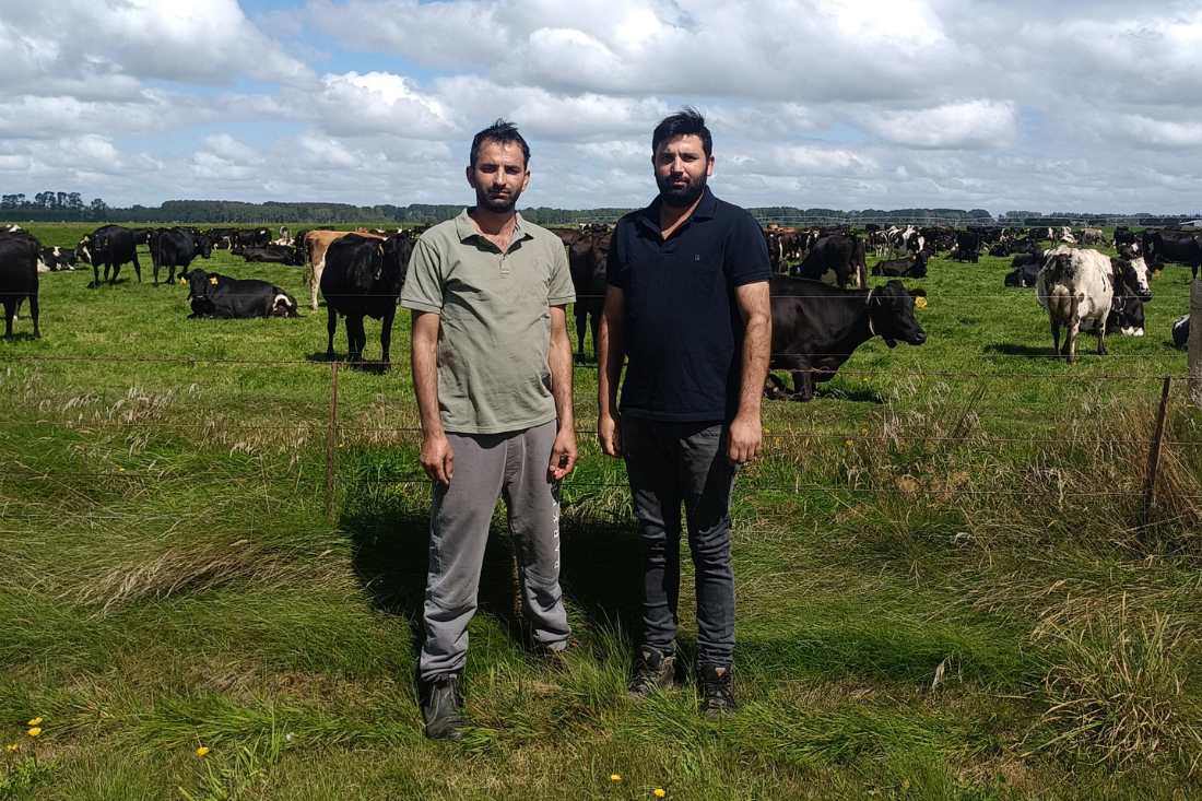 Dairy duo turn their dreams into reality