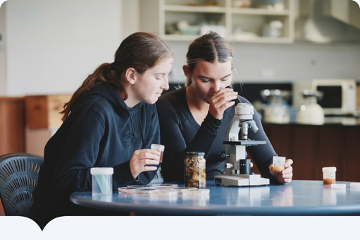 Open https://www.agribusiness.school.nz agribusiness in schools - kids looking into a microscope